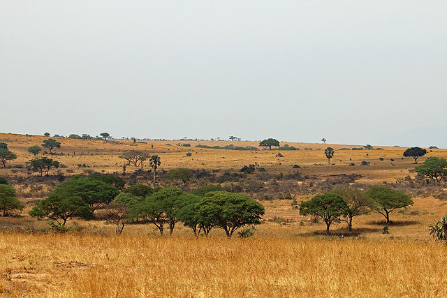 Kidepo Valley National Park